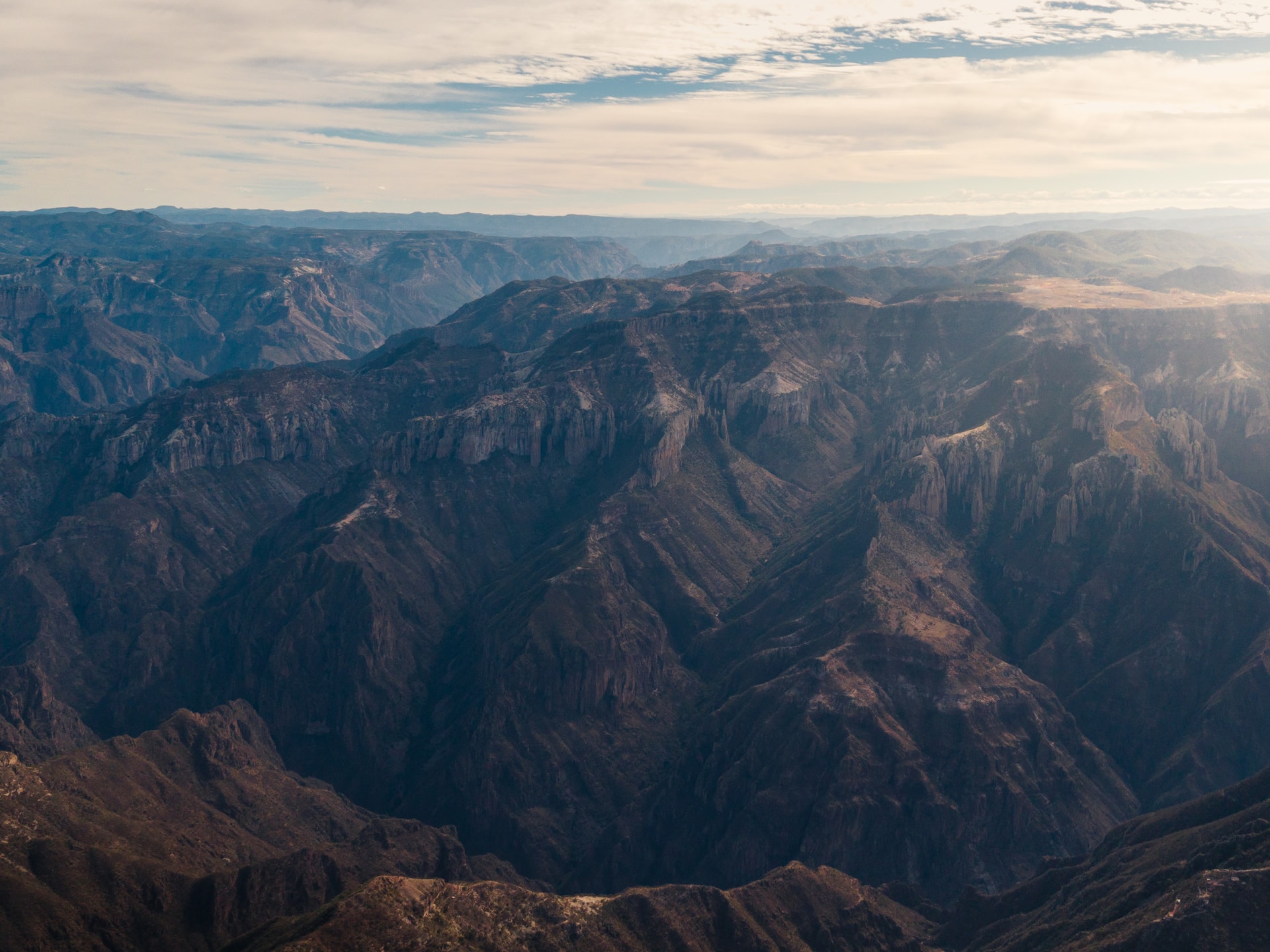 Chihuahua Invernal - 4