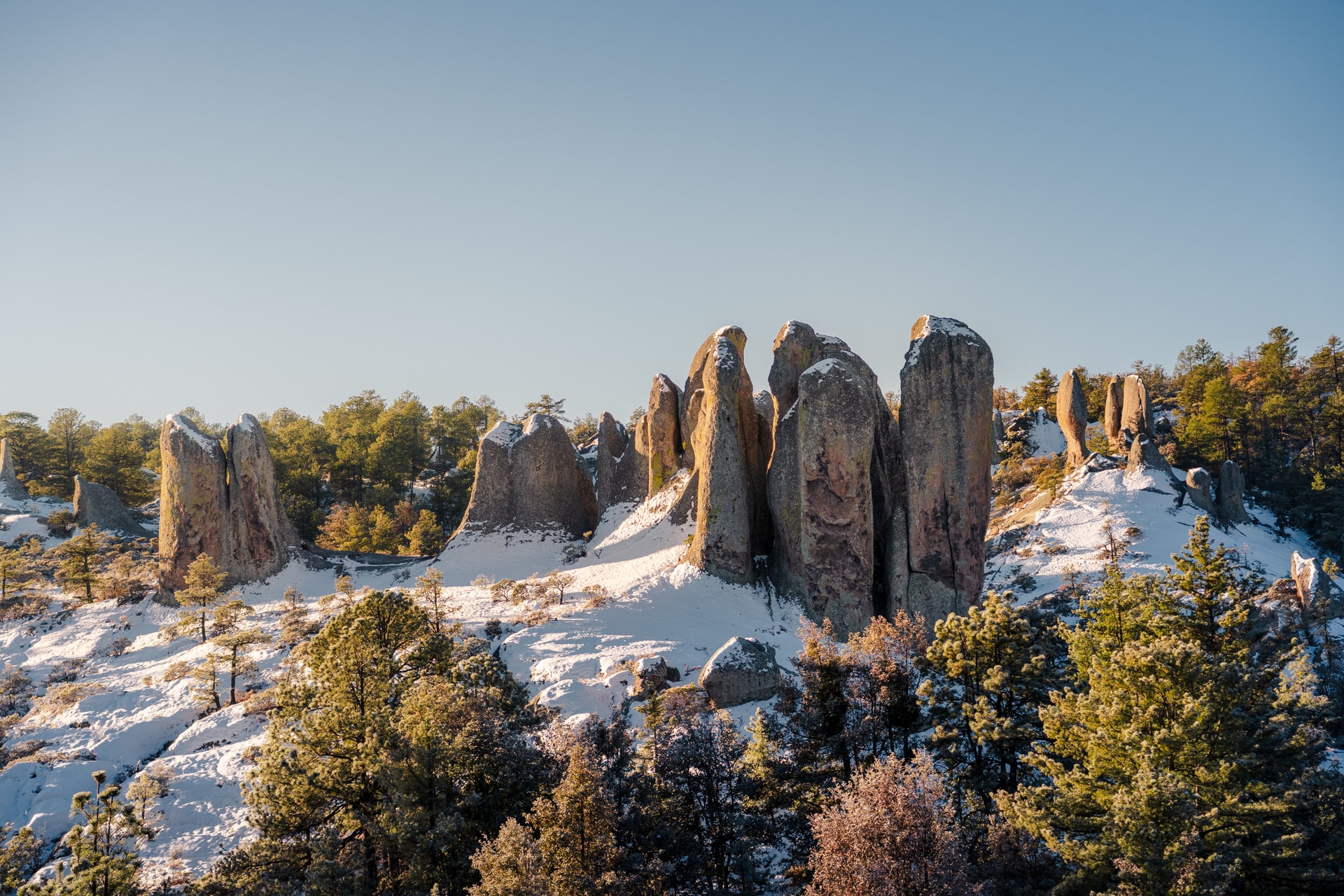 Chihuahua Invernal - 3