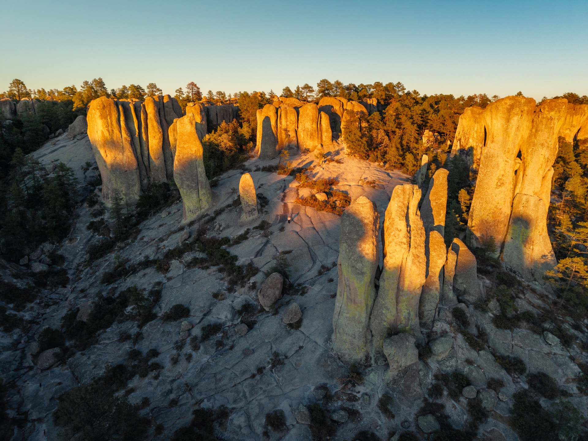 Chihuahua Invernal - 1