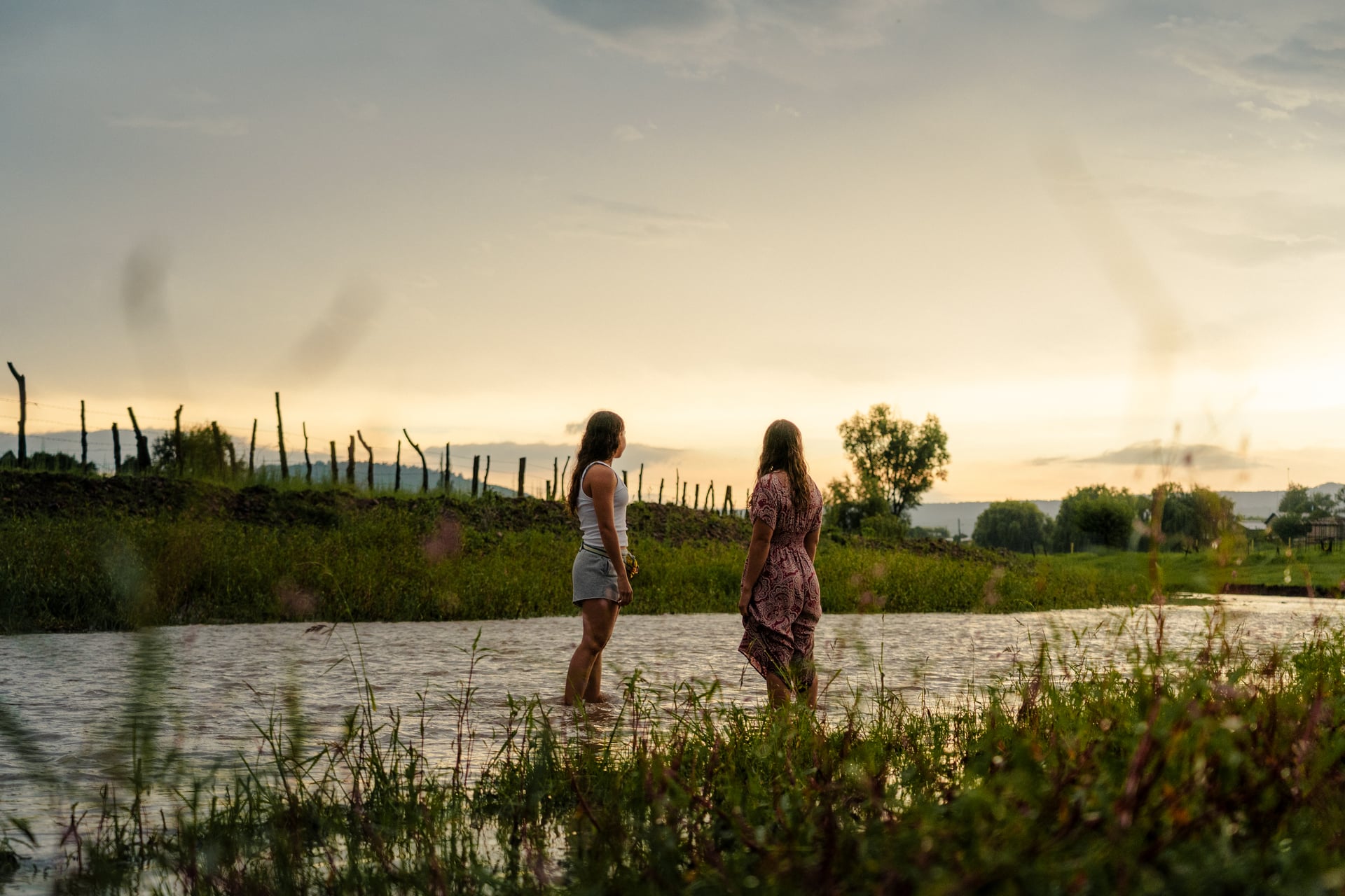 Festival Fantastic Fungi