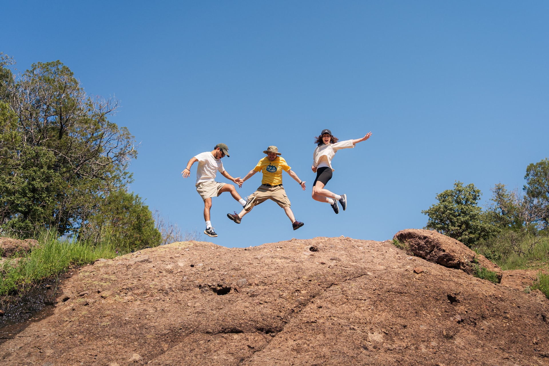 Festival Fantastic Fungi - 2
