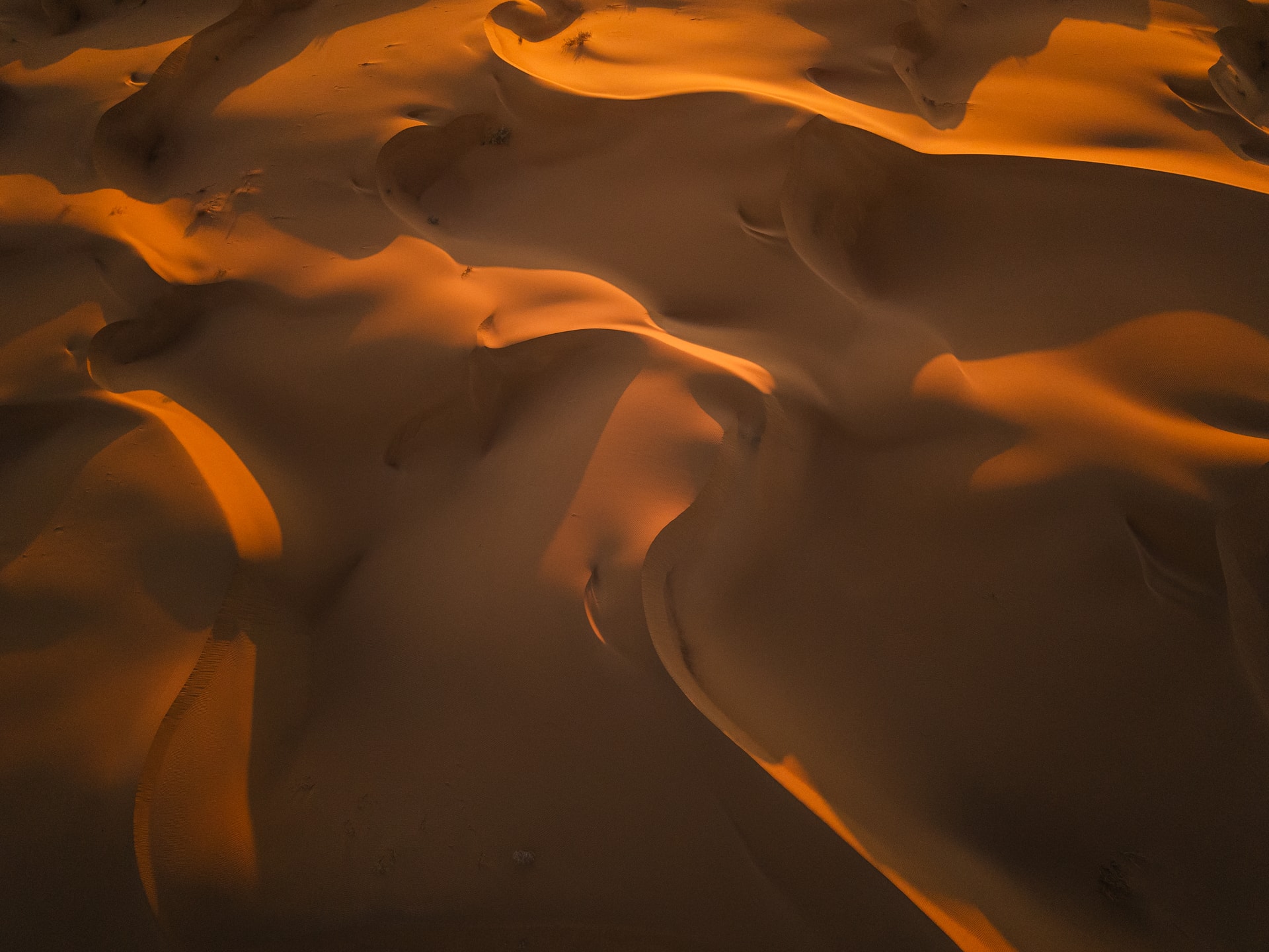 Sonora Inhóspita - 1